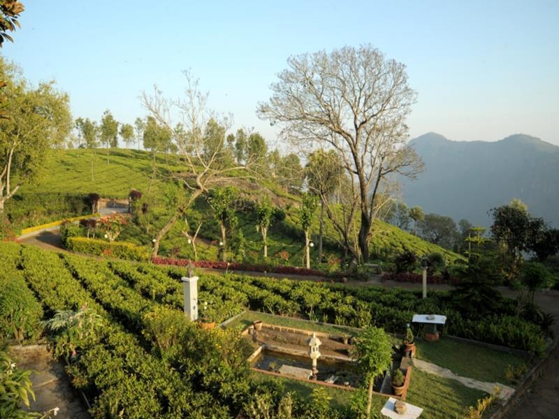 Teanest By Nature Resorts And Stays Coonoor Luaran gambar