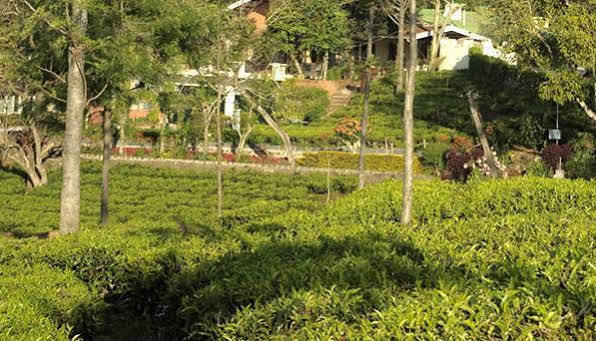 Teanest By Nature Resorts And Stays Coonoor Luaran gambar