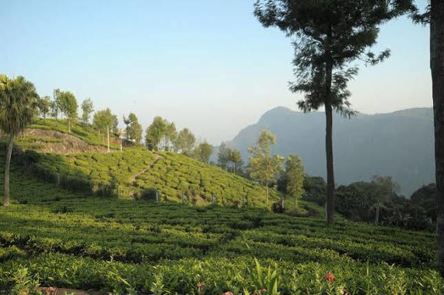 Teanest By Nature Resorts And Stays Coonoor Luaran gambar